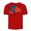 Adult Stars & Stripes T-Shirt Thumbnail