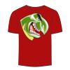 Adult Stars & Stripes T-Shirt Thumbnail
