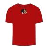 Adult Stars & Stripes T-Shirt Thumbnail