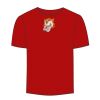 Adult Stars & Stripes T-Shirt Thumbnail