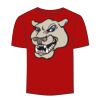 Adult Stars & Stripes T-Shirt Thumbnail