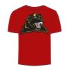 Adult Stars & Stripes T-Shirt Thumbnail