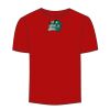 Adult Stars & Stripes T-Shirt Thumbnail
