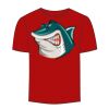 Adult Stars & Stripes T-Shirt Thumbnail