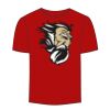 Adult Stars & Stripes T-Shirt Thumbnail