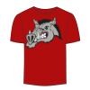 Adult Stars & Stripes T-Shirt Thumbnail