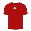Adult Stars & Stripes T-Shirt Thumbnail