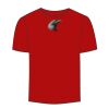 Adult Stars & Stripes T-Shirt Thumbnail