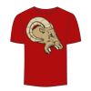 Adult Stars & Stripes T-Shirt Thumbnail