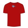 Adult Stars & Stripes T-Shirt Thumbnail