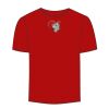 Adult Stars & Stripes T-Shirt Thumbnail