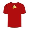 Adult Stars & Stripes T-Shirt Thumbnail