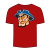 Adult Stars & Stripes T-Shirt Thumbnail