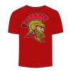 Adult Stars & Stripes T-Shirt Thumbnail