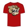 Adult Stars & Stripes T-Shirt Thumbnail