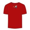 Adult Stars & Stripes T-Shirt Thumbnail