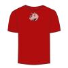 Adult Stars & Stripes T-Shirt Thumbnail