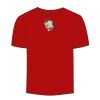 Adult Stars & Stripes T-Shirt Thumbnail
