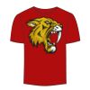 Adult Stars & Stripes T-Shirt Thumbnail