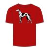 Adult Stars & Stripes T-Shirt Thumbnail