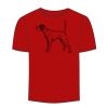 Adult Stars & Stripes T-Shirt Thumbnail