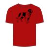 Adult Stars & Stripes T-Shirt Thumbnail