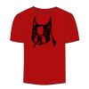 Adult Stars & Stripes T-Shirt Thumbnail