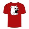 Adult Stars & Stripes T-Shirt Thumbnail