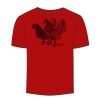 Adult Stars & Stripes T-Shirt Thumbnail