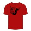 Adult Stars & Stripes T-Shirt Thumbnail