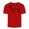 Adult Stars & Stripes T-Shirt Thumbnail