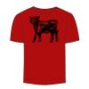Adult Stars & Stripes T-Shirt Thumbnail