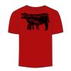Adult Stars & Stripes T-Shirt Thumbnail