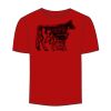 Adult Stars & Stripes T-Shirt Thumbnail