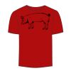 Adult Stars & Stripes T-Shirt Thumbnail