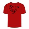 Adult Stars & Stripes T-Shirt Thumbnail