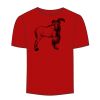 Adult Stars & Stripes T-Shirt Thumbnail