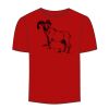 Adult Stars & Stripes T-Shirt Thumbnail