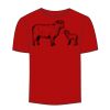 Adult Stars & Stripes T-Shirt Thumbnail