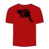 Adult Stars & Stripes T-Shirt Thumbnail