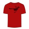 Adult Stars & Stripes T-Shirt Thumbnail
