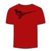 Adult Stars & Stripes T-Shirt Thumbnail