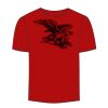 Adult Stars & Stripes T-Shirt Thumbnail