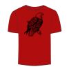 Adult Stars & Stripes T-Shirt Thumbnail