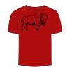 Adult Stars & Stripes T-Shirt Thumbnail