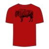 Adult Stars & Stripes T-Shirt Thumbnail