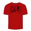 Adult Stars & Stripes T-Shirt Thumbnail
