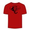 Adult Stars & Stripes T-Shirt Thumbnail