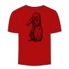 Adult Stars & Stripes T-Shirt Thumbnail