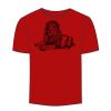 Adult Stars & Stripes T-Shirt Thumbnail